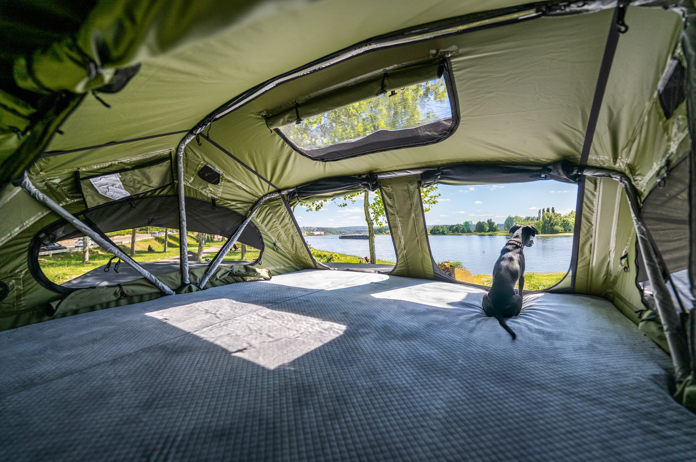 Dachzelt-Reise mit Haustier – Abenteuer auf vier Pfoten